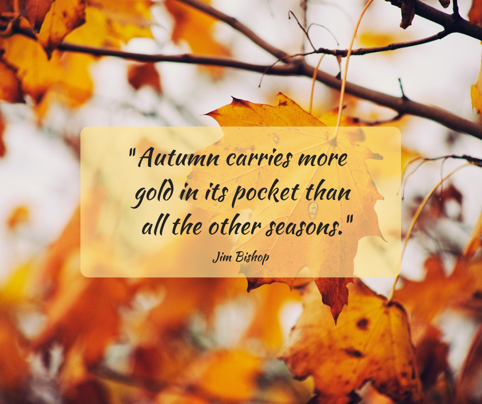 Beautiful Fall Photos With Quotes